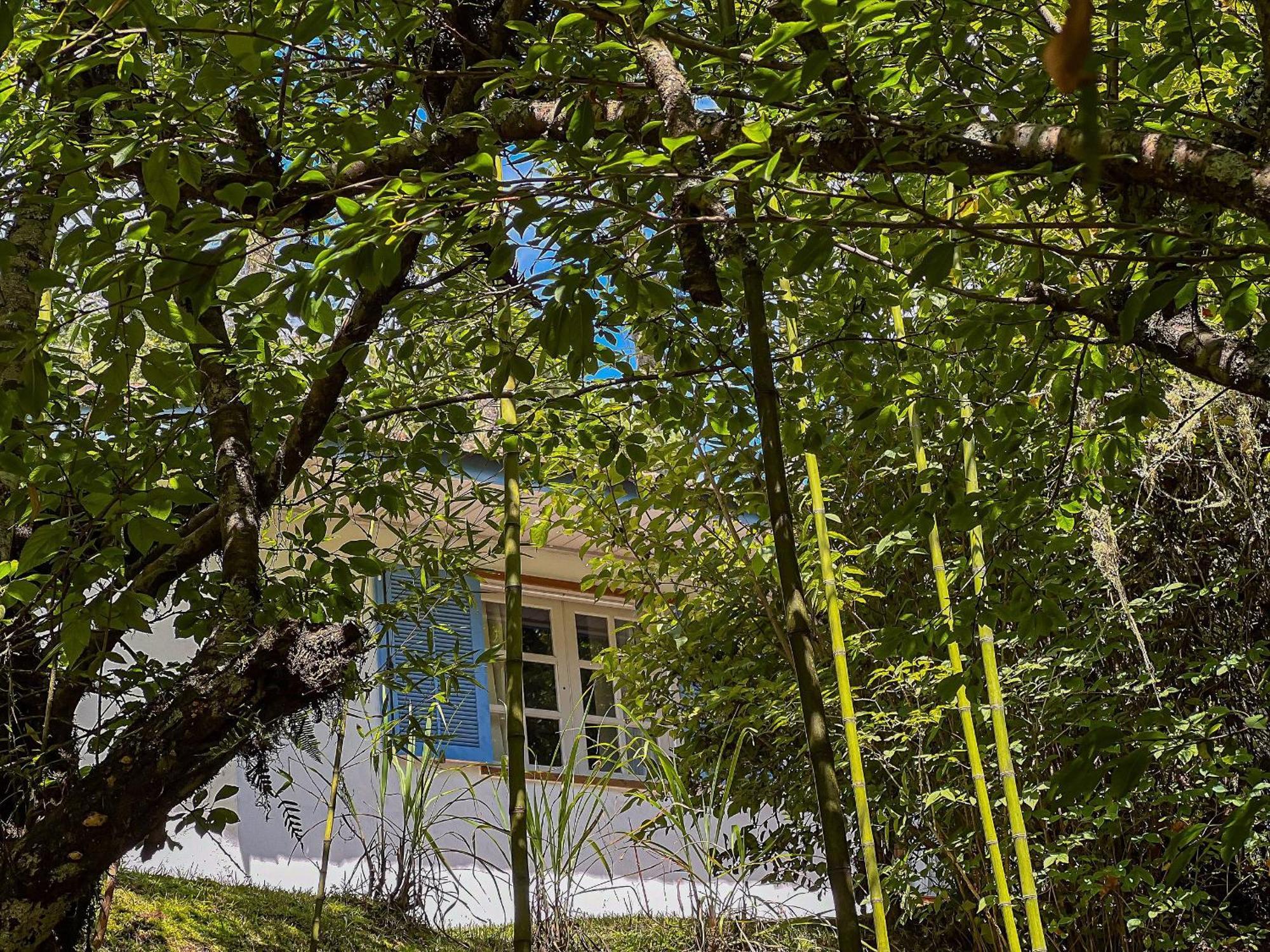 Chale Regiao Turistica - Conforto Na Natureza Кампус-ду-Жордау Экстерьер фото